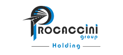 Procaccini Group